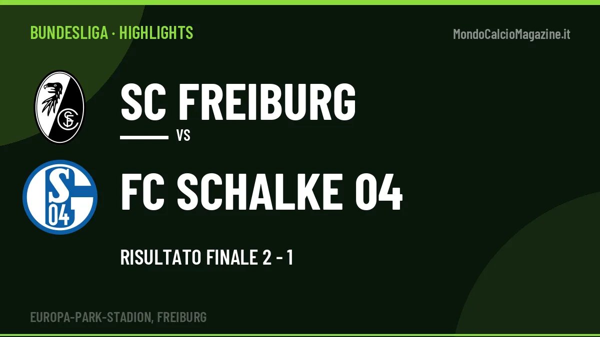 Highlights Bundesliga: SC Freiburg-FC Schalke 04 2-1 in video