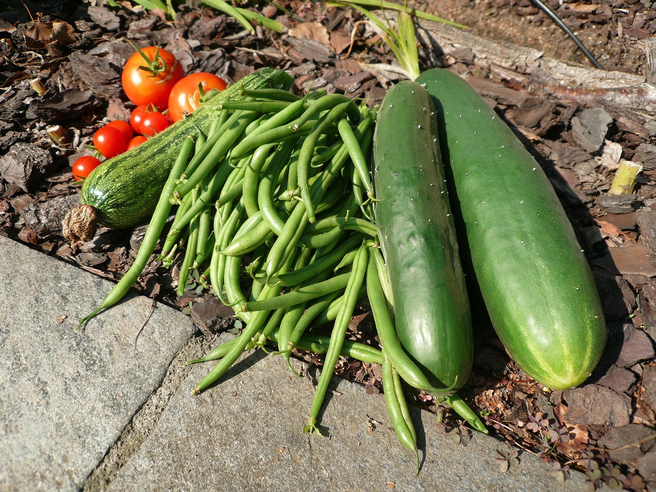 Verdure fresche pronte per essere piantate a giugno, ideali per il caldo estivo.