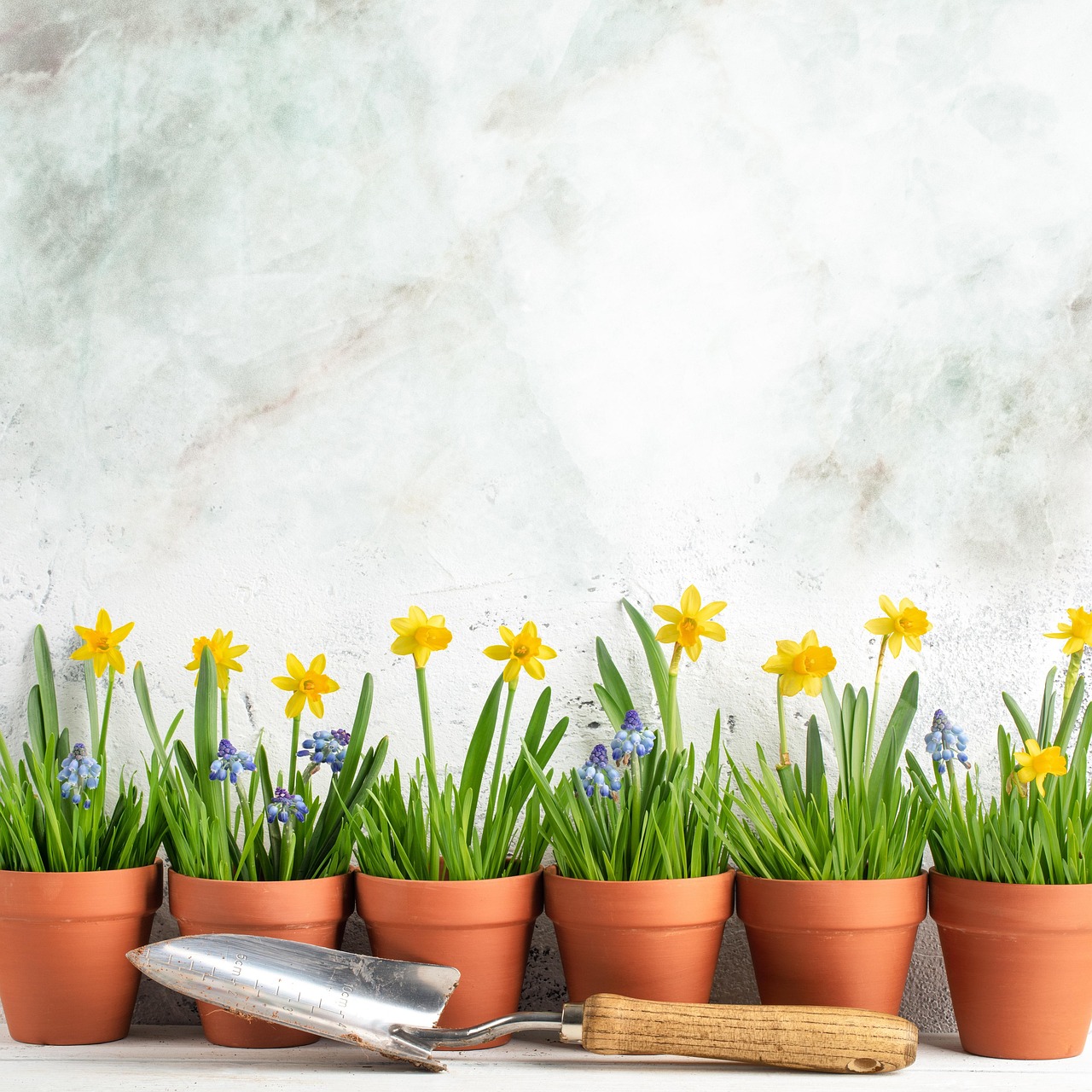 Orto primaverile con piante fresche e fiorite, ideale da piantare ad aprile.